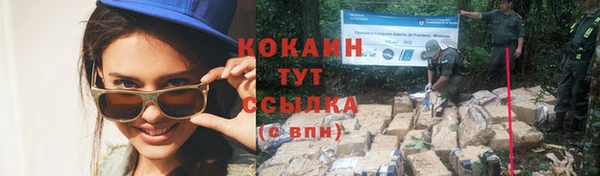 ПСИЛОЦИБИНОВЫЕ ГРИБЫ Балахна