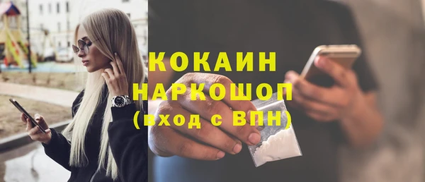 стаф Нея