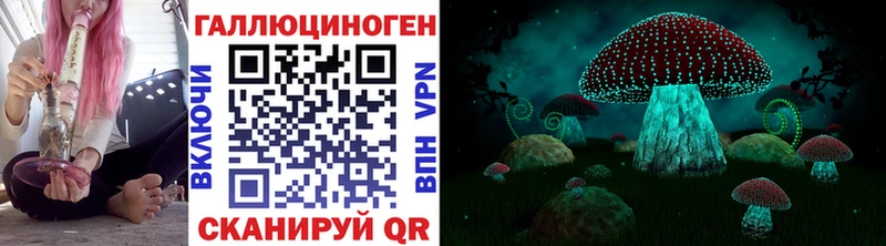 Галлюциногенные грибы Psilocybine cubensis  Буинск 