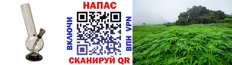 Шишки марихуана индика  ссылка на мегу ССЫЛКА  Буинск 